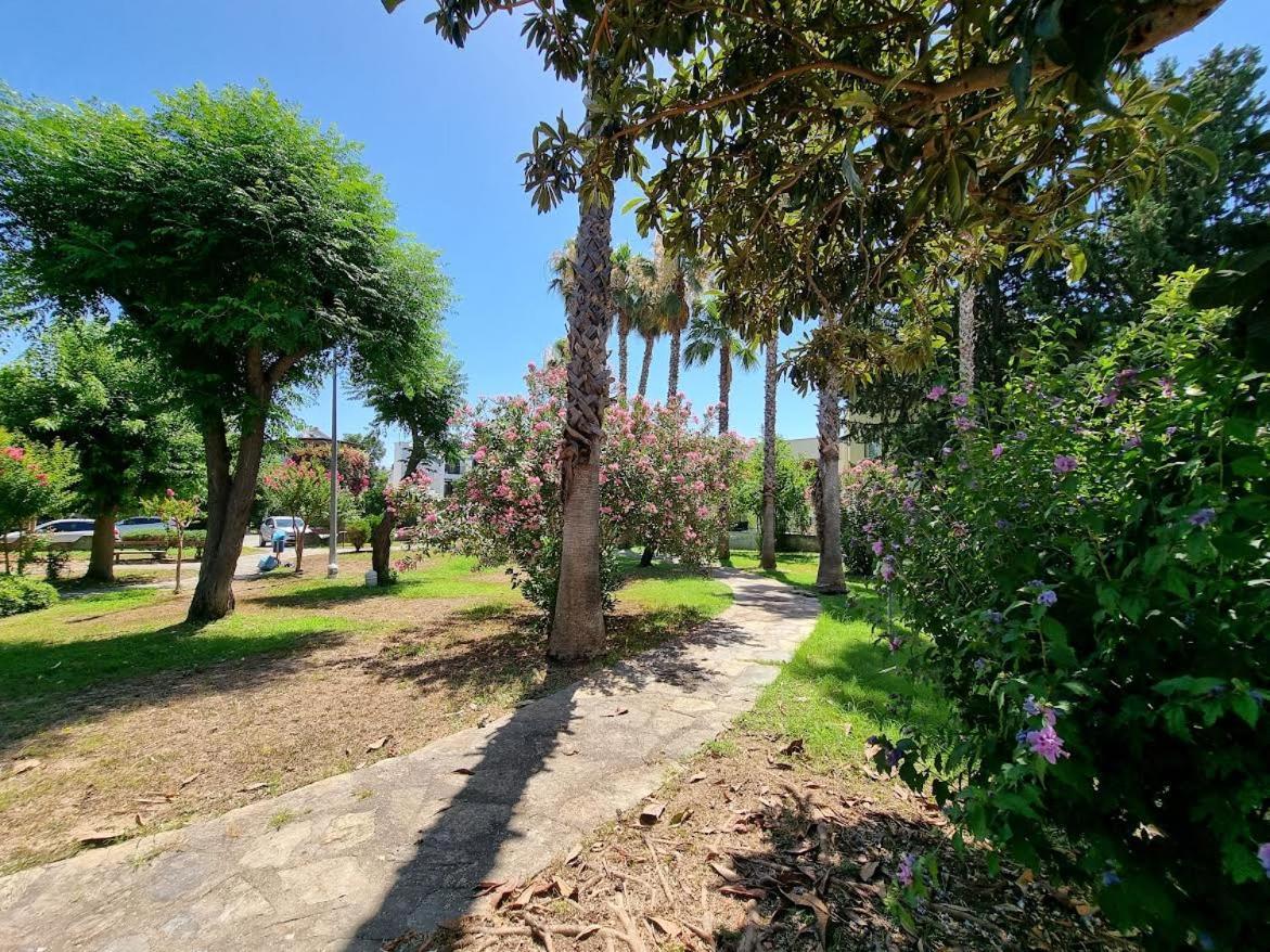 Sima Hotel קמר מראה חיצוני תמונה